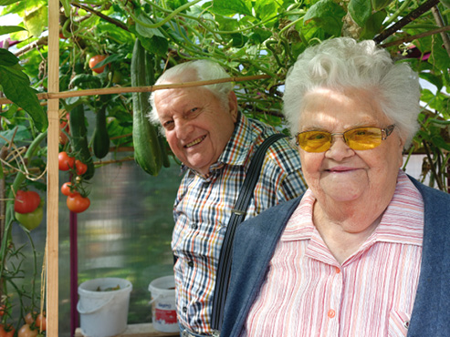 OBST, GEMÜSE UND KRÄUTER AUS EIGENEM ANBAU